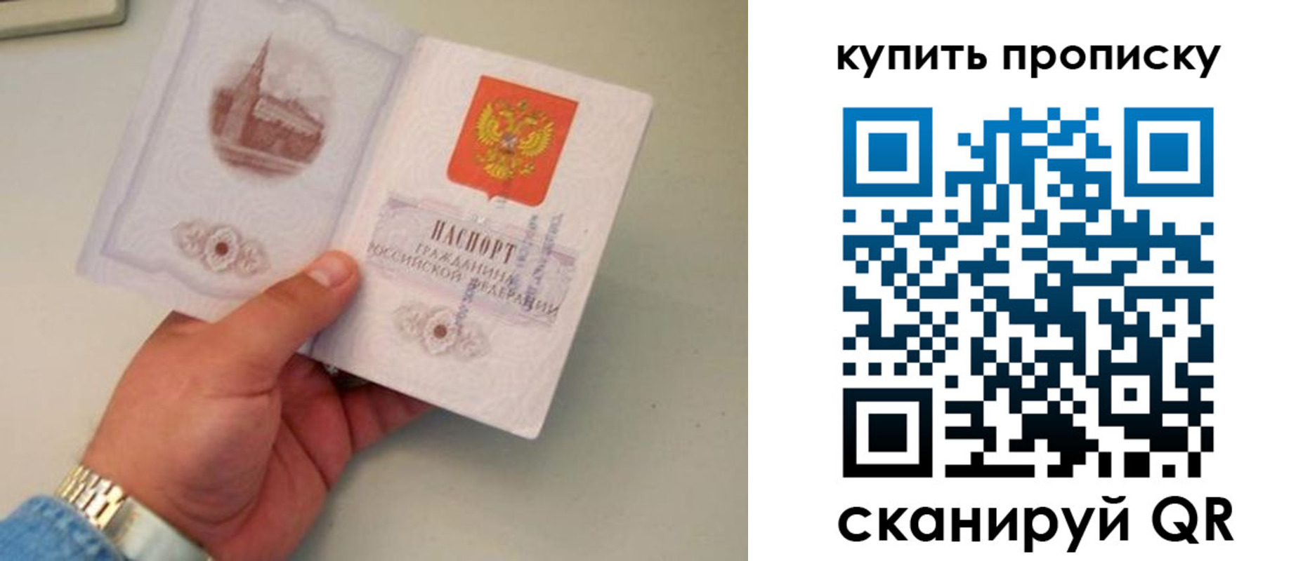 прописка для работы в Щиграх